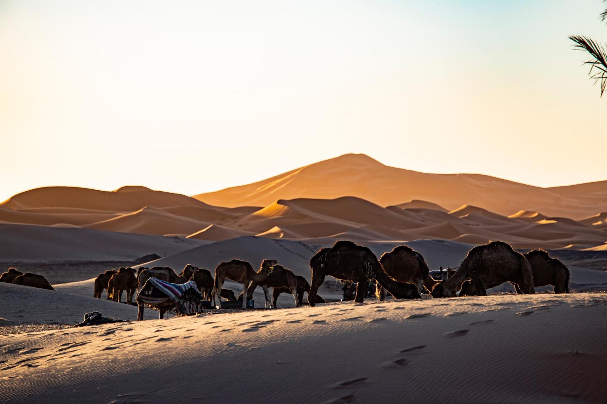 Kanz Erremal Merzouga Exteriér fotografie