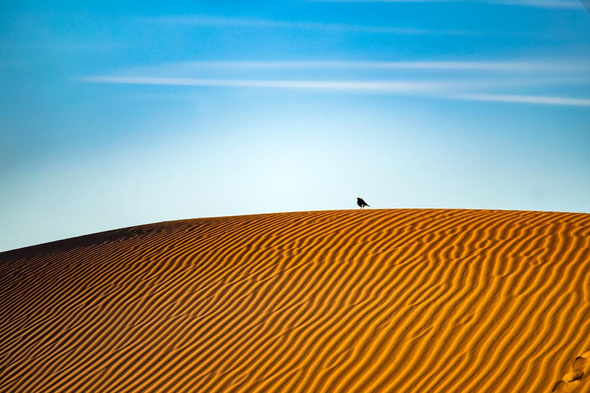 Kanz Erremal Merzouga Exteriér fotografie